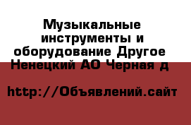Музыкальные инструменты и оборудование Другое. Ненецкий АО,Черная д.